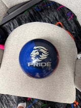 Pride dynasty (used 15lb)