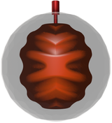 Roto Grip Perfect Gem